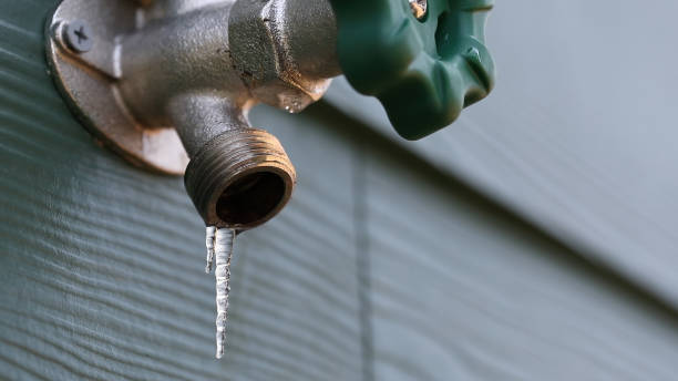 Best Plumbing Inspection Services  in Pinedale, WY
